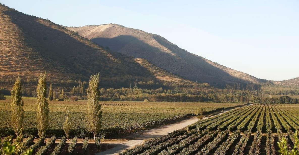 Santiago: Half–Day Santa Rita Vineyard Tour