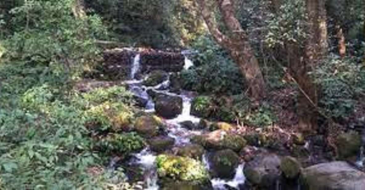 Shivapuri National Park Day Hiking From Kathmandu
