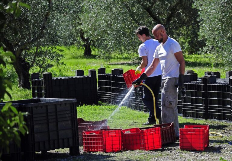 Siena: Educational Wine Tour & Tasting