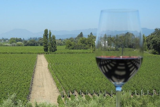 Small-Group Half Day Sonoma Wine Country Tour With Two Tastings - Tour Overview and Features