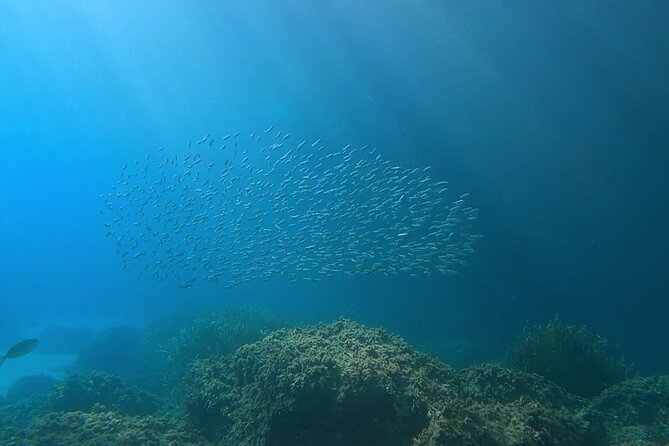 Snorkeling Adventure in the Southern Coves of Menorca