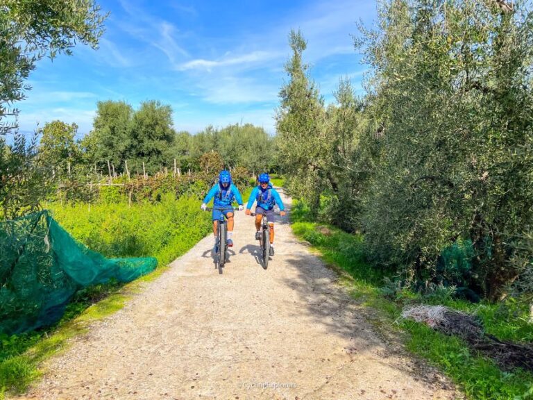 Sorrento: E-Bike Oil & Lemon Tour With Tasting