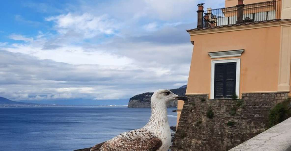 Sorrento: Walking in the Grand Tour With Stunning Landscapes