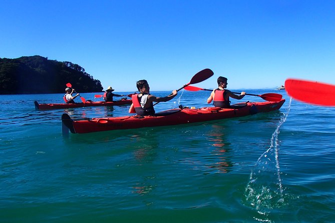 Southern Duo Kayak & Walk Tour - Itinerary Highlights