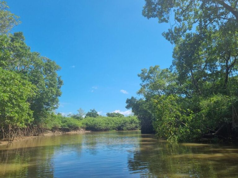 Transfer From Barreirinhas to Parnaíba