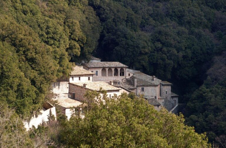 Transfer to Eremo Delle Carceri & San Damiano