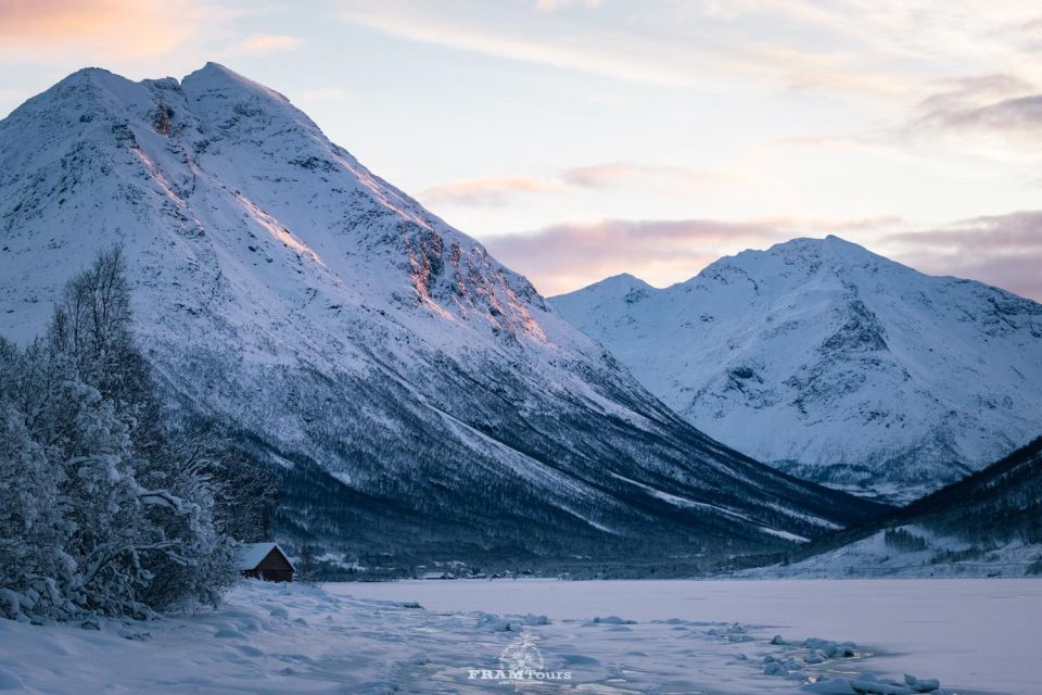 Tromso: Guided Fjord Expedition & Kvaløya Island With Lunch