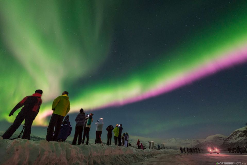 Tromso: Northern Lights Photography Bus Tour