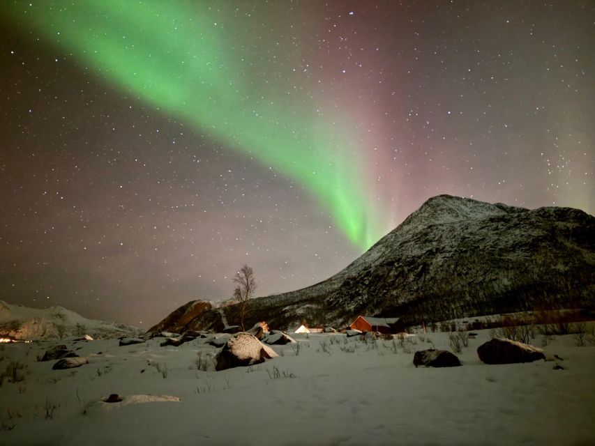 Tromsø: Northern Lights Tour With Hot Food and Drinks