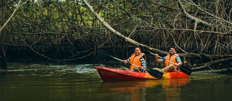 Tumbes: Mangrove National Sanctuary