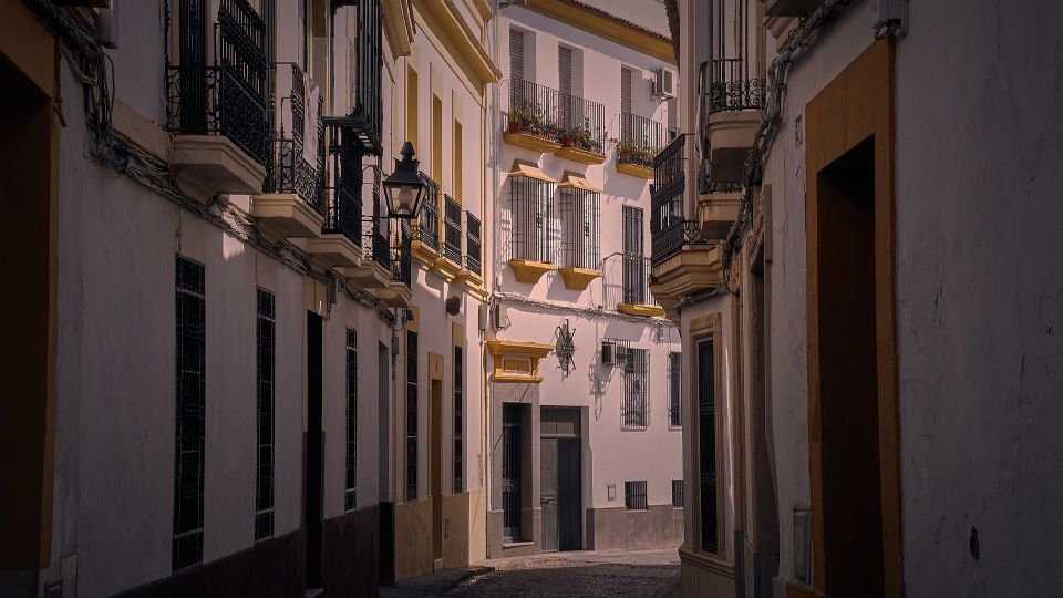 Valencia - Private Historic Walking Tour - Tour Overview