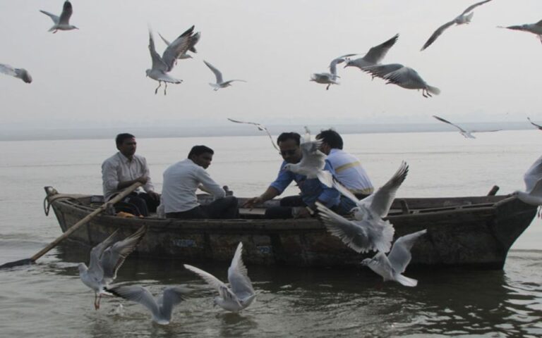 Varanasi: Sunrise Boat Ride W/ Ghats & Morning Rituals