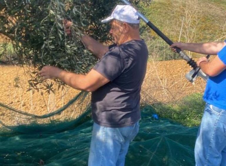 Visit and Tasting of Typical Products on a Farm in Segesta