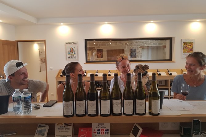 Visit Domaine Bourgogne - Guided Wine Tasting - Guided Wine Tasting Experience