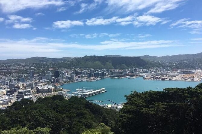 Wellington Scenic Full Day Tour