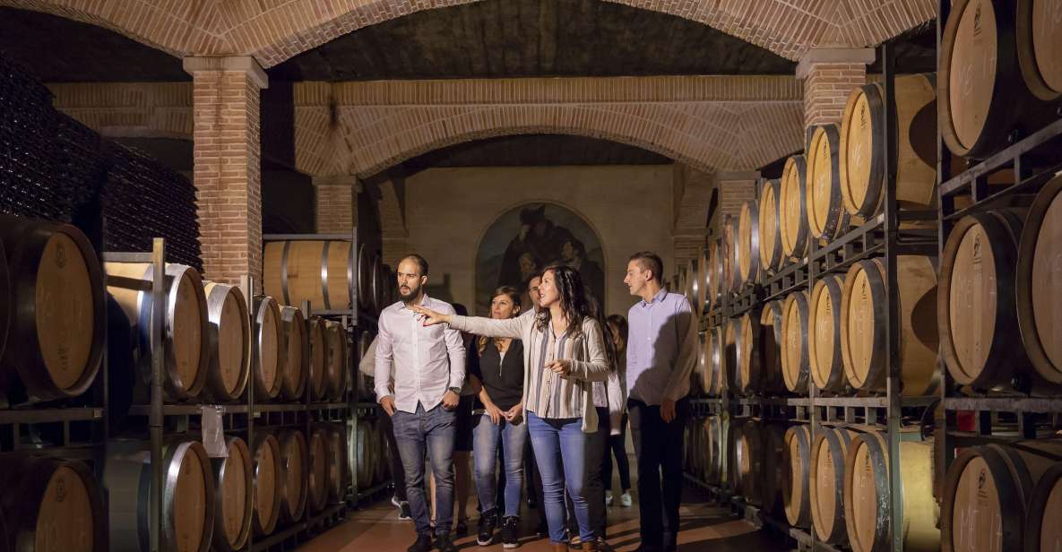 Wine Tasting in the Best Winery in Spain From Alicante - Activity Overview