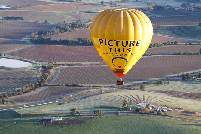 Yarra Valley Sunrise Balloon Flight & Champagne Breakfast - Highlights of the Tour