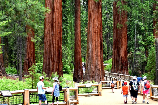 Yosemite Highlights Small Group Tour - Tour Overview