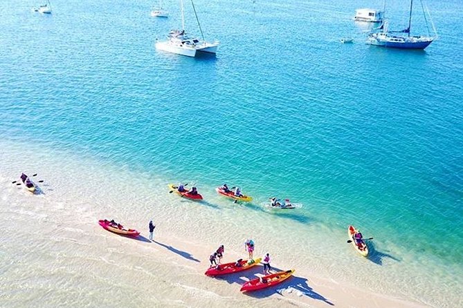 2.5hr Gold Coast Kayaking & Snorkelling Tour - Key Points