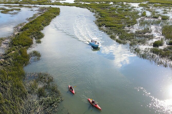 2-Hour Private Hilton Head Dolphin Watching Cruise - Key Points