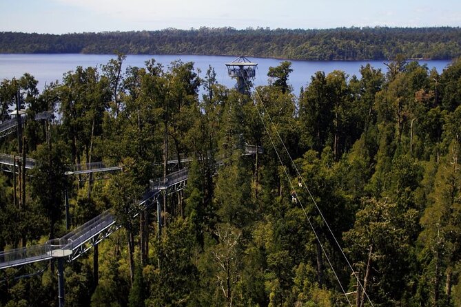 2-Hour Tower Zipline and Walkway Combo Private Guided Activity - Key Points