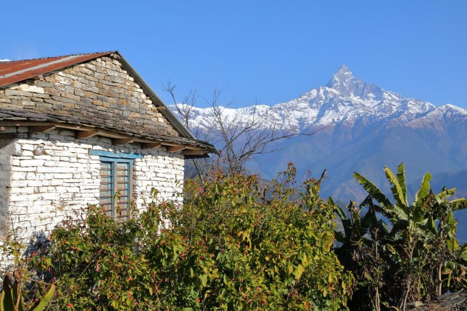 1 Day Dhampus Trek - Itinerary Highlights