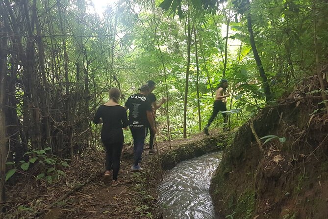 1 Day Trekking in Chiang Mai - Inclusions and Amenities