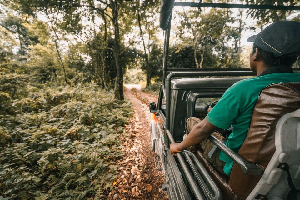 1 Night 2 Day Chitwan Jungle Safari Tour - Detailed Itinerary