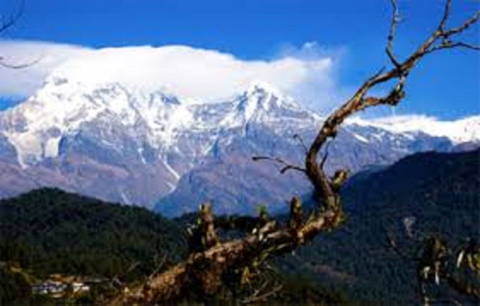 1 Night 2 Days Camping Tour at Australian Camp (Trek) - Experience Highlights