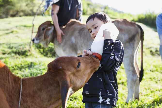 100-Year-Old Family Finca Adventure: Horseback Riding & More - Activities Included