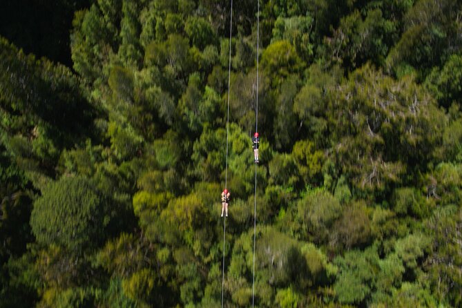 2-Hour Tower Zipline and Walkway Combo Private Guided Activity - Location Details