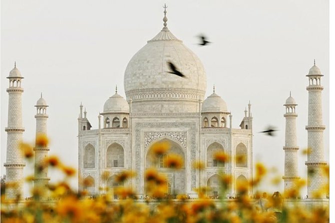 2 Nights 3 Days Trip to Agra and Jaipur - Transportation Details