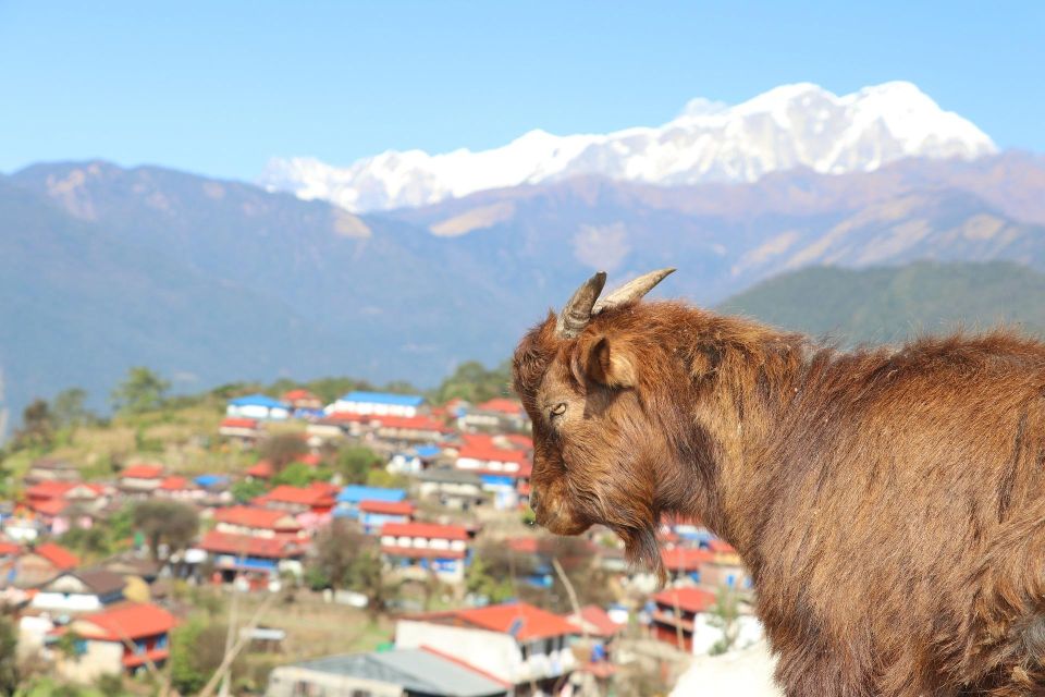 3-Day Ghale Gaun Homestay Experience From Kathmandu - Cultural Activities in Ghale Gaun