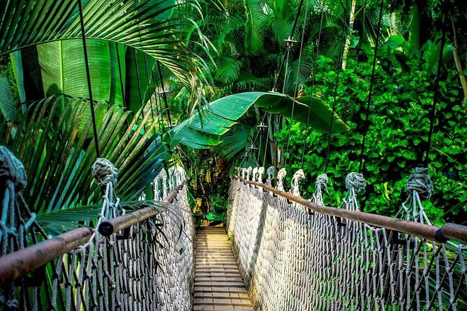 3 in 1 Combo: La Fortuna Waterfall, Hanging Bridges, Thermal Spa From San José - Highlights of La Fortuna Waterfall