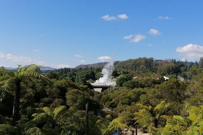 4-Day Auckland to Wellington via Rotorua Tour - Itinerary Overview