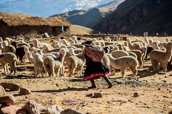 4-Day Lares Trek to Machu Picchu - Inclusions and Amenities