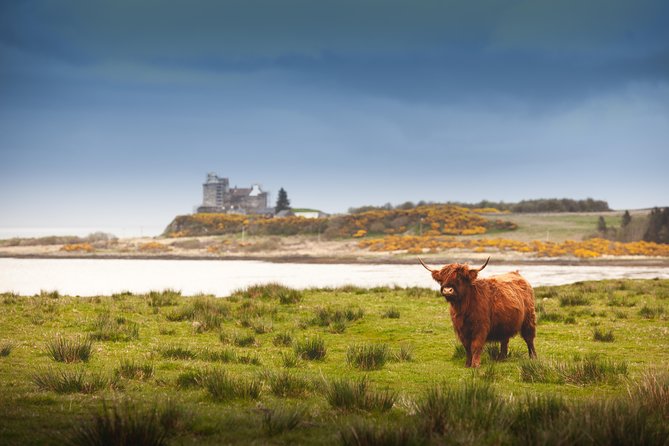 4-Day Magical Mull, Iona & West Highlands Small-Group Tour From Edinburgh - Whats Included in the Tour