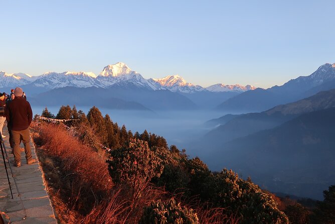 4 Days Poon Hill Trek From Pokhara - Itinerary Breakdown