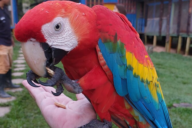 5 DAYS Tour, Culture and Nature of the Amazon...Non-Mass & Sustainable Tour. - Sustainable Tourism Focus