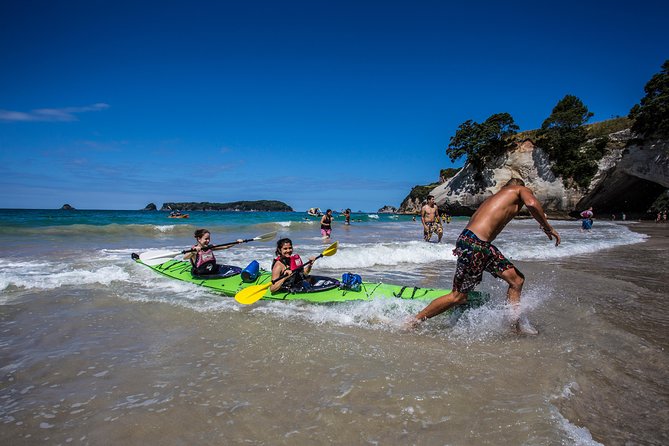 7-Day Coasts and Culture From Auckland - Cultural Experiences Highlighted