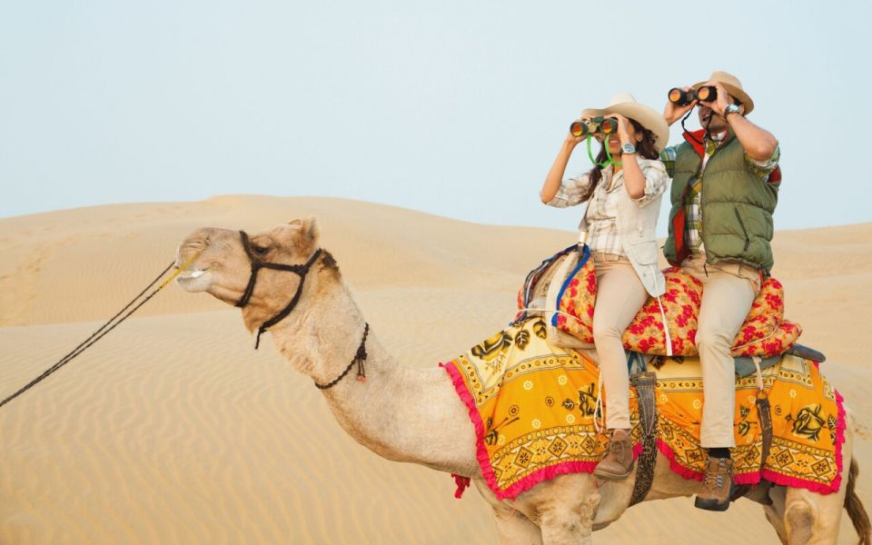 8 Days Rajasthan Tour - Jaipur, Jodhpur, Jaisalmer & Bikaner - Detailed Itinerary