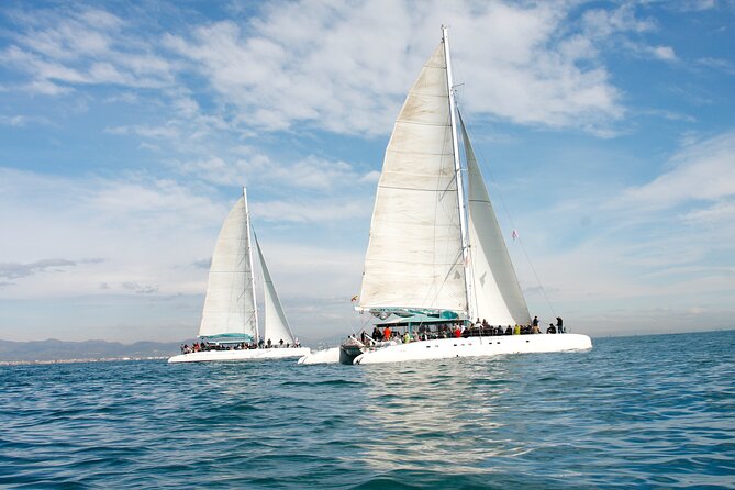 A Day at Sea From Dénia or Jávea With Barbecue Aboard the Catamaran - Included Amenities