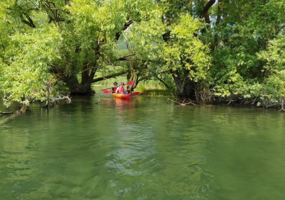 Adda River: Half Day Kayak Trip - Experience Highlights