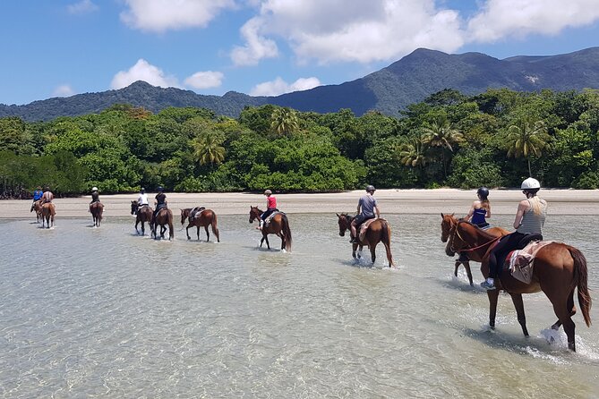 Afternoon Beach Horse Ride in Cape Tribulation - Safety Measures