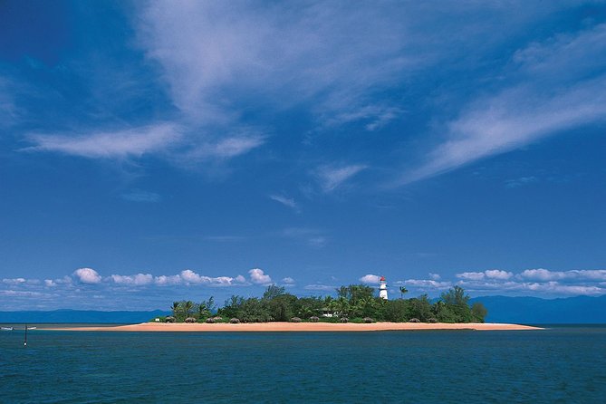 Afternoon Low Isles Snorkelling & Sunset Sail From Port Douglas - Snorkelling Experience