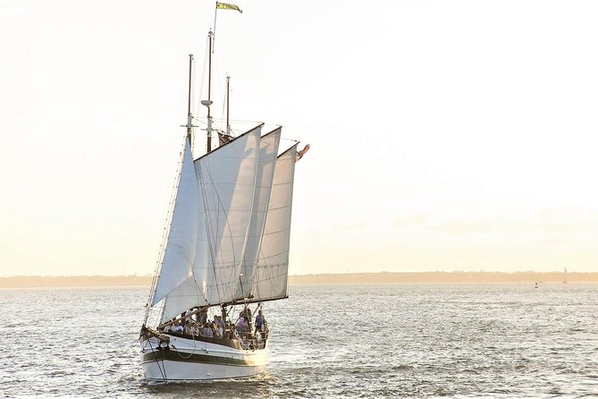 Afternoon Schooner Sightseeing Dolphin Cruise on Charleston Harbor - Dolphin Watching Experience