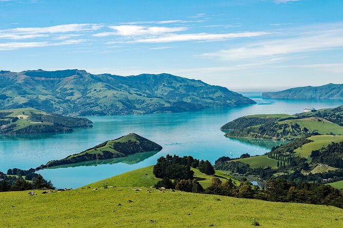 Akaroa Private Day Tour From Christchurch (Carbon Neutral) - Inclusions and Amenities