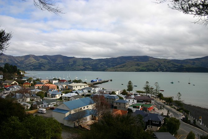 Akaroa Shore Excursion: Akaroa Harbour and Sheep Farm Local Tour - Accessibility and Participation