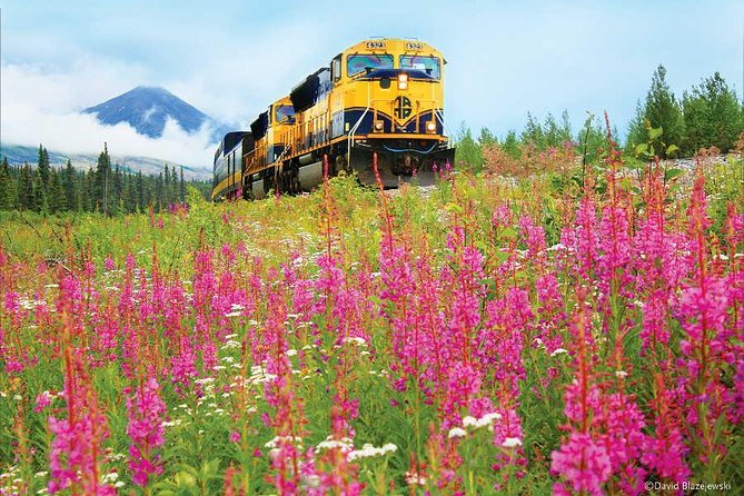 Alaska Railroad Anchorage to Seward Round-Trip Same Day Return - Scenic Highlights