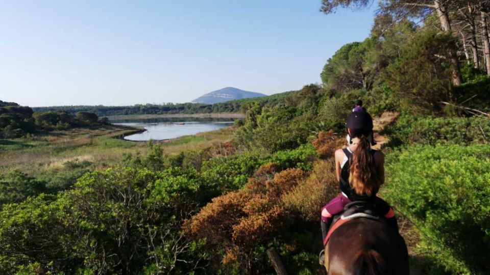 Alghero: Lake Baratz Guided Horseback Ride - Scenic Experience